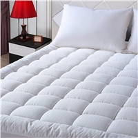 EASELAND Queen Size Mattress Pad Pillow Top Mattress Cover Quilted Fitted Mattress Protector Cotton Top 8-21 Deep Pocket Cooling Mattress Topper (60x80 Inches, White)